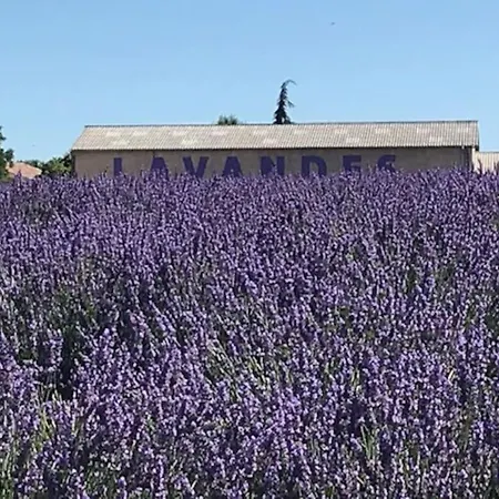 La Voie Lactee Apartment